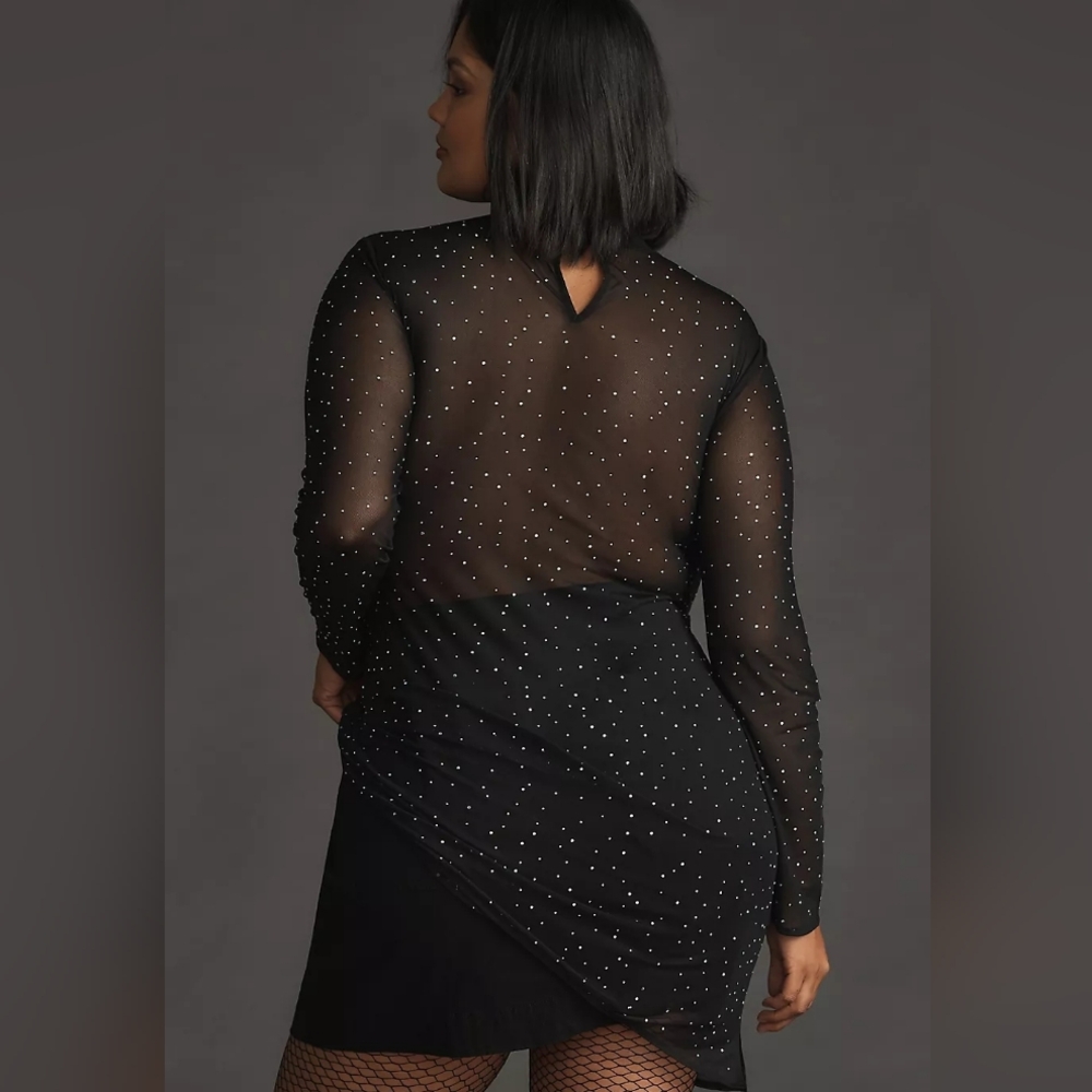 Eva Franco Starlight Long-Sleeve Sheer Tunic - Black Starlight - Picture 3 of 6